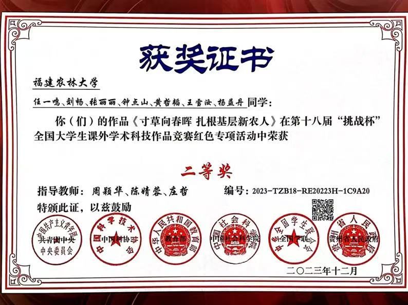 挑战杯荣誉证书