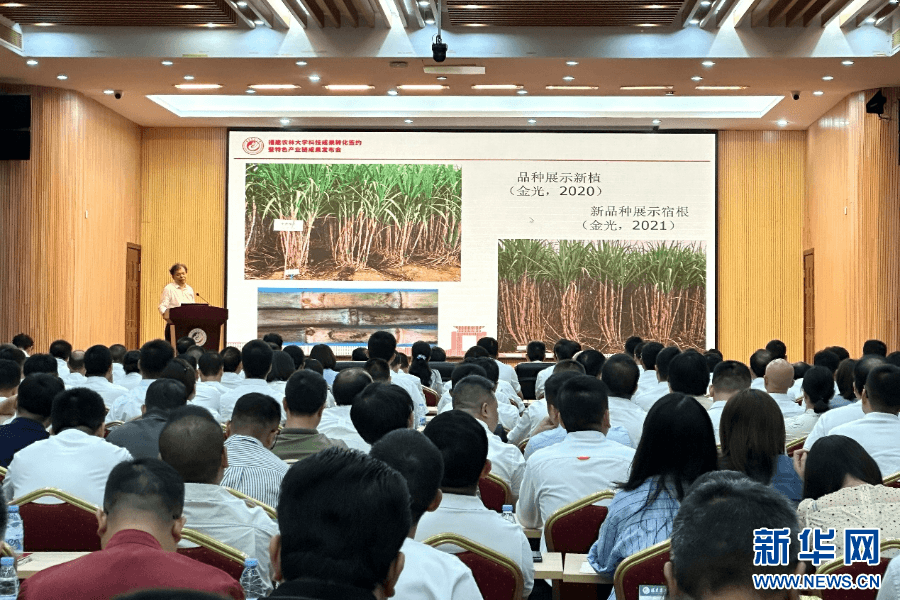 福建农林大学科技成果转化签约暨特色产业链成果发布会 - 图片 2