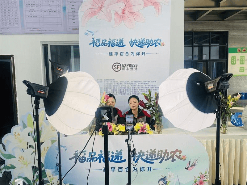 福品福递百合花卉 - 图片 1