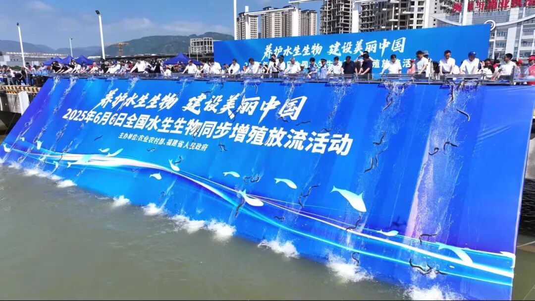 2025年全国水生生物同步增殖放流活动 - 图片 2