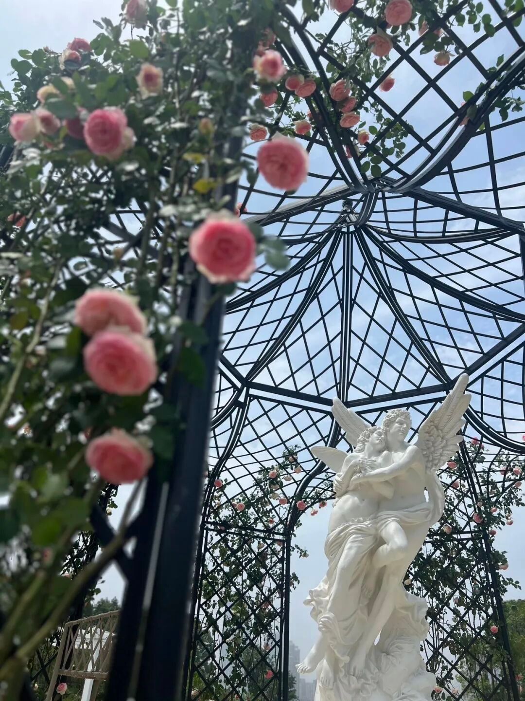 福州第二届三江口月季花展 - 图片 3