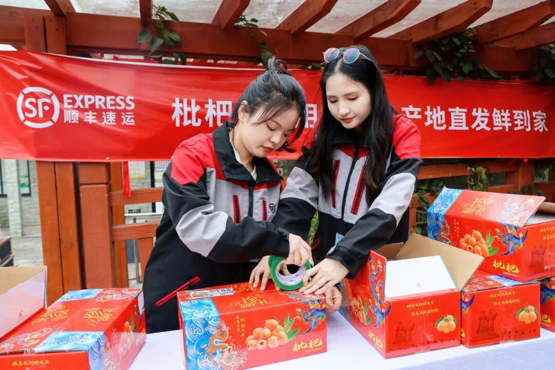 福品福递枇杷开春 - 图片 1