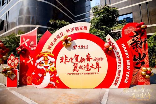 中国电信福建公司-迎新春游园活动